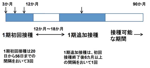 不活化ポリオの接種間隔