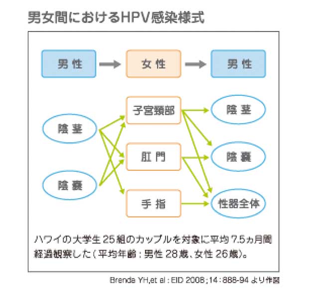 男性がHPVに感染すると