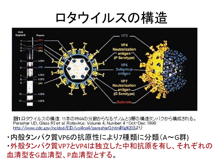 ロタウイルス感染症2014-05