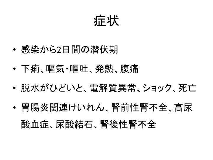 彩の国 予防接種 学術講演会レポート0406